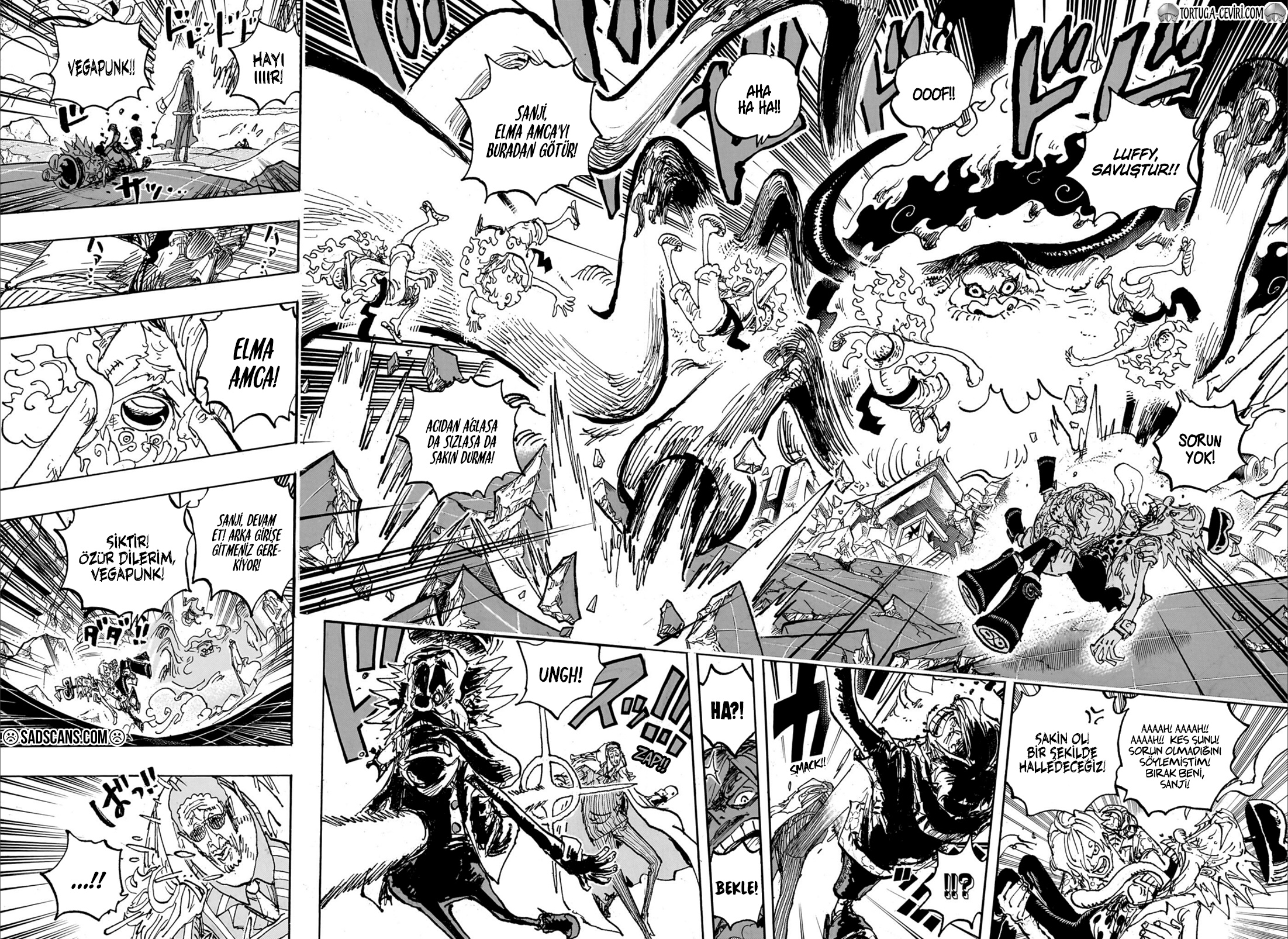 Read One Piece TR Manga Online