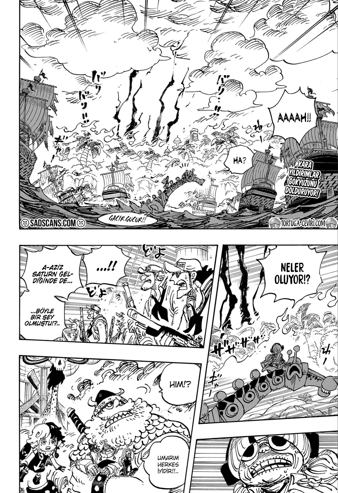 Read One Piece TR Manga Online