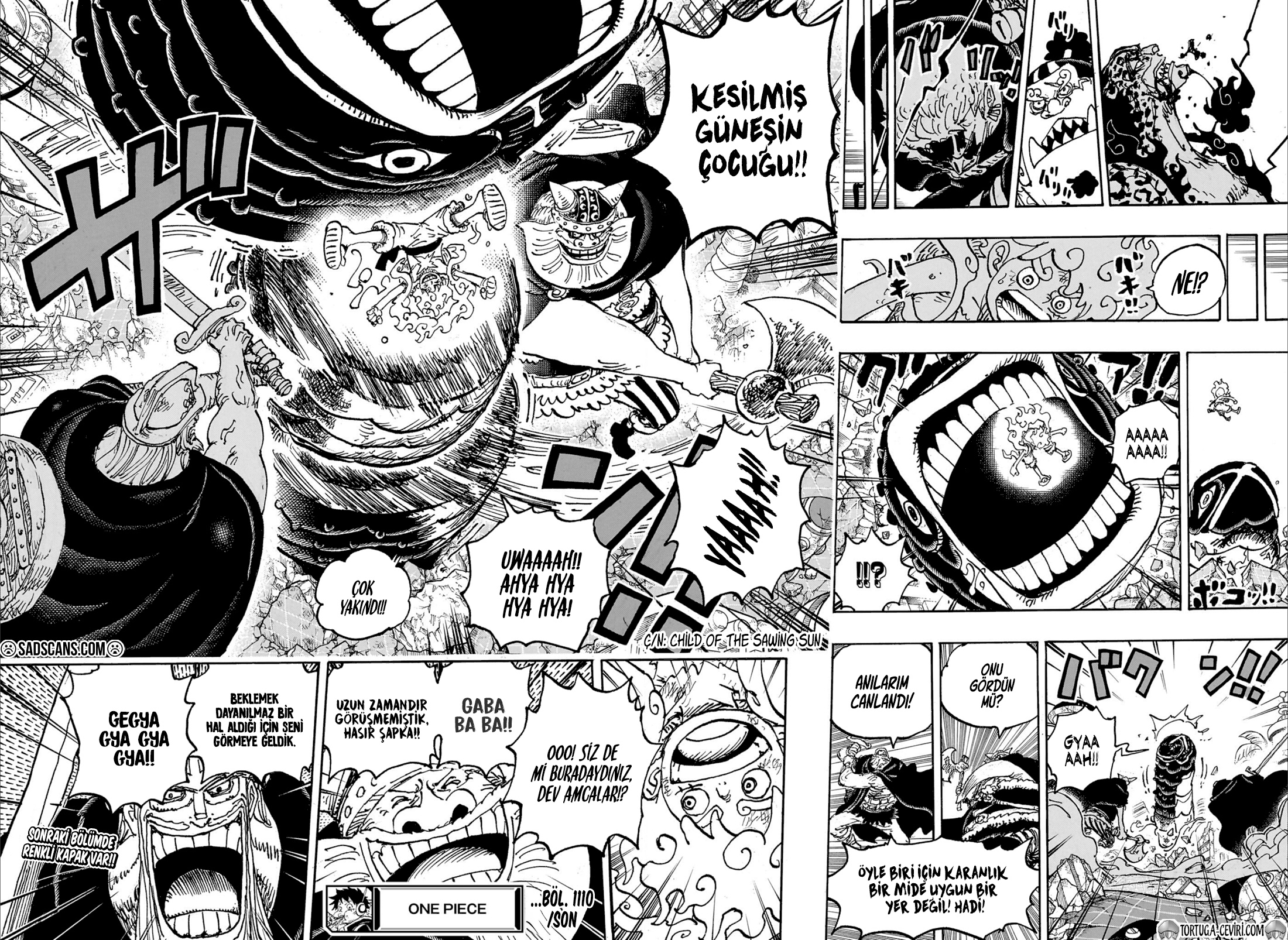 Read One Piece TR Manga Online