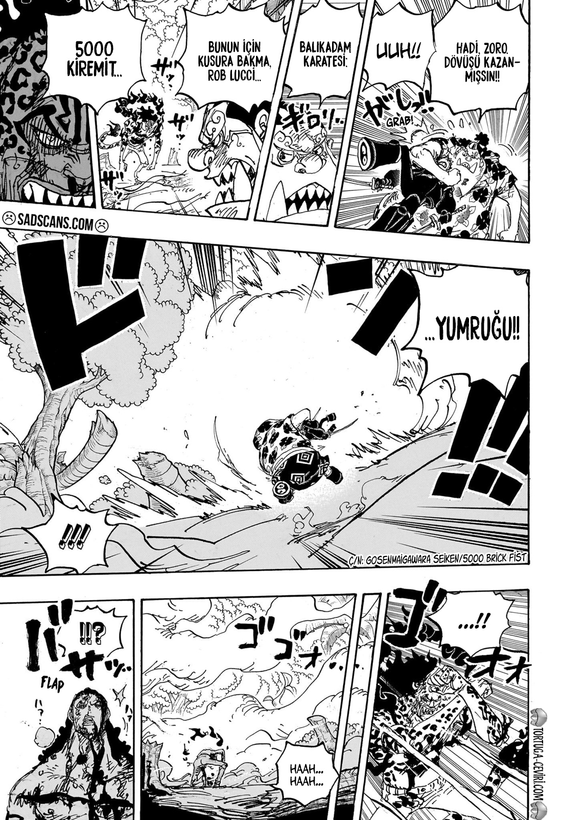 Read One Piece TR Manga Online