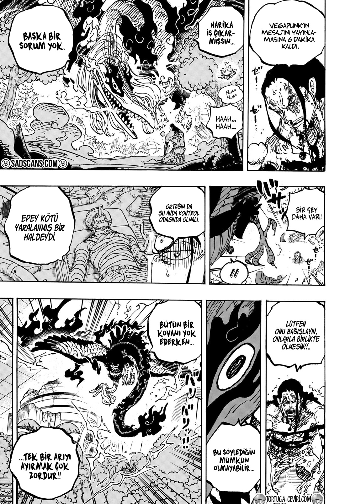 Read One Piece TR Manga Online