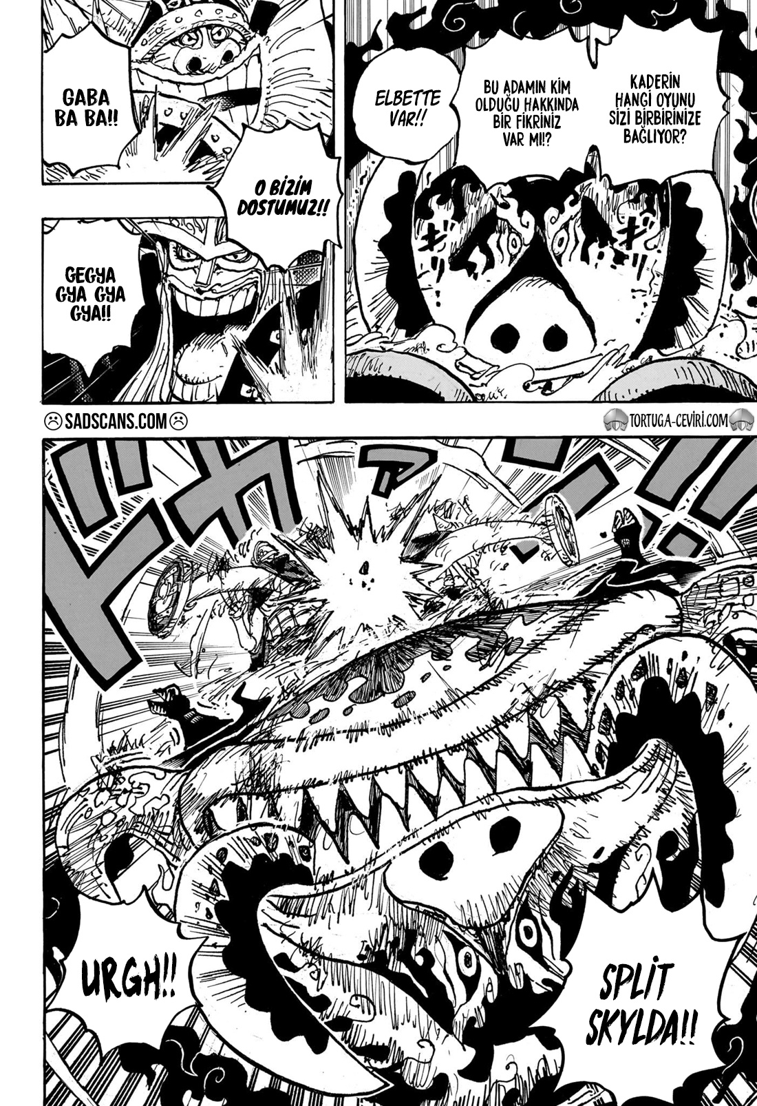 Read One Piece TR Manga Online