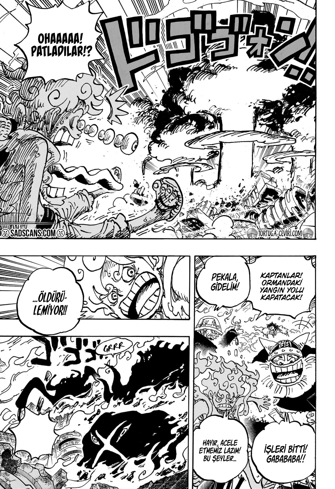 Read One Piece TR Manga Online