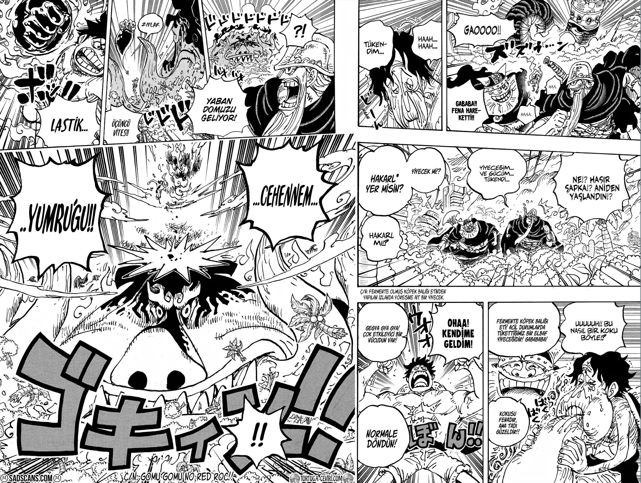 Read One Piece TR Manga Online