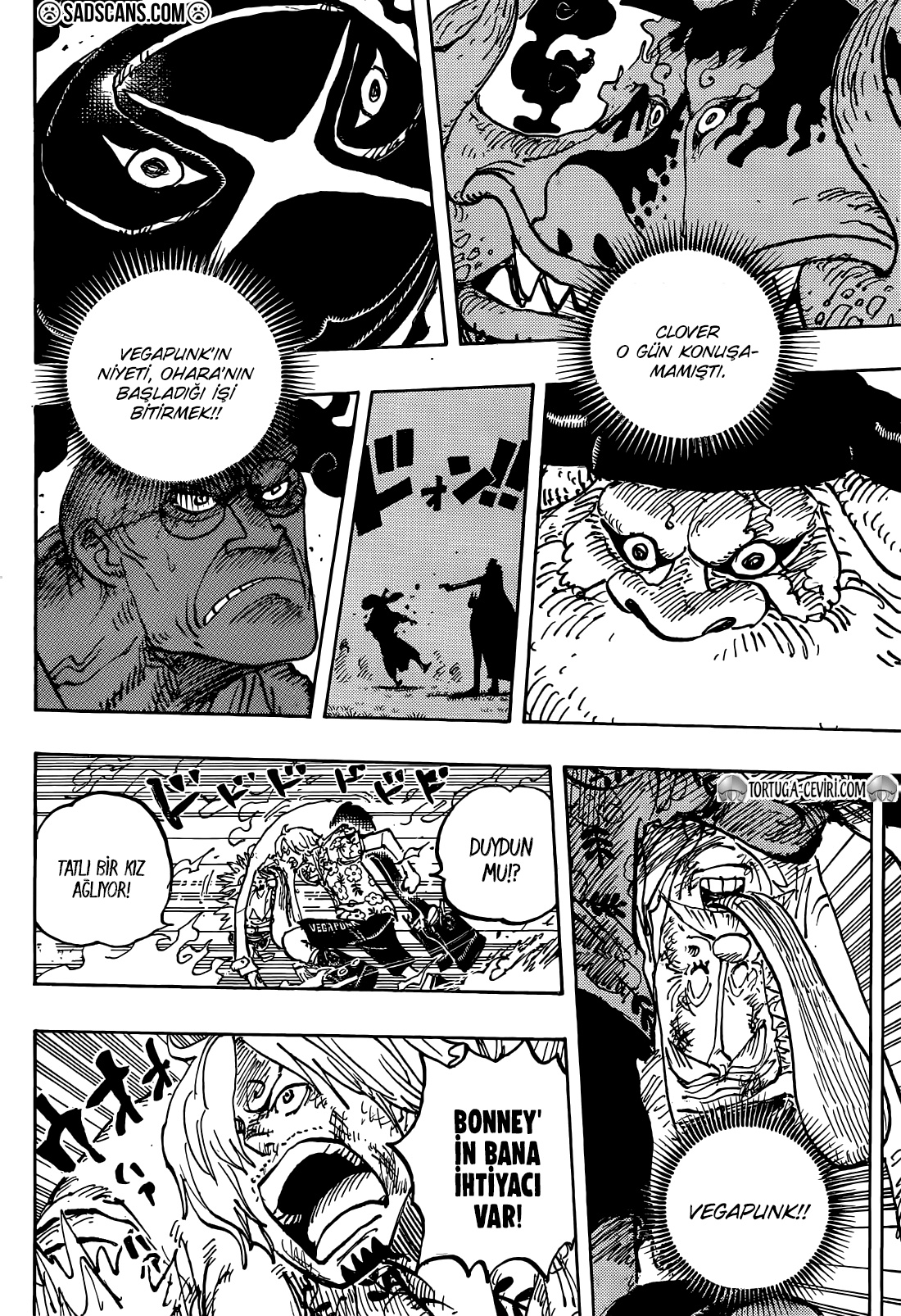 Read One Piece TR Manga Online