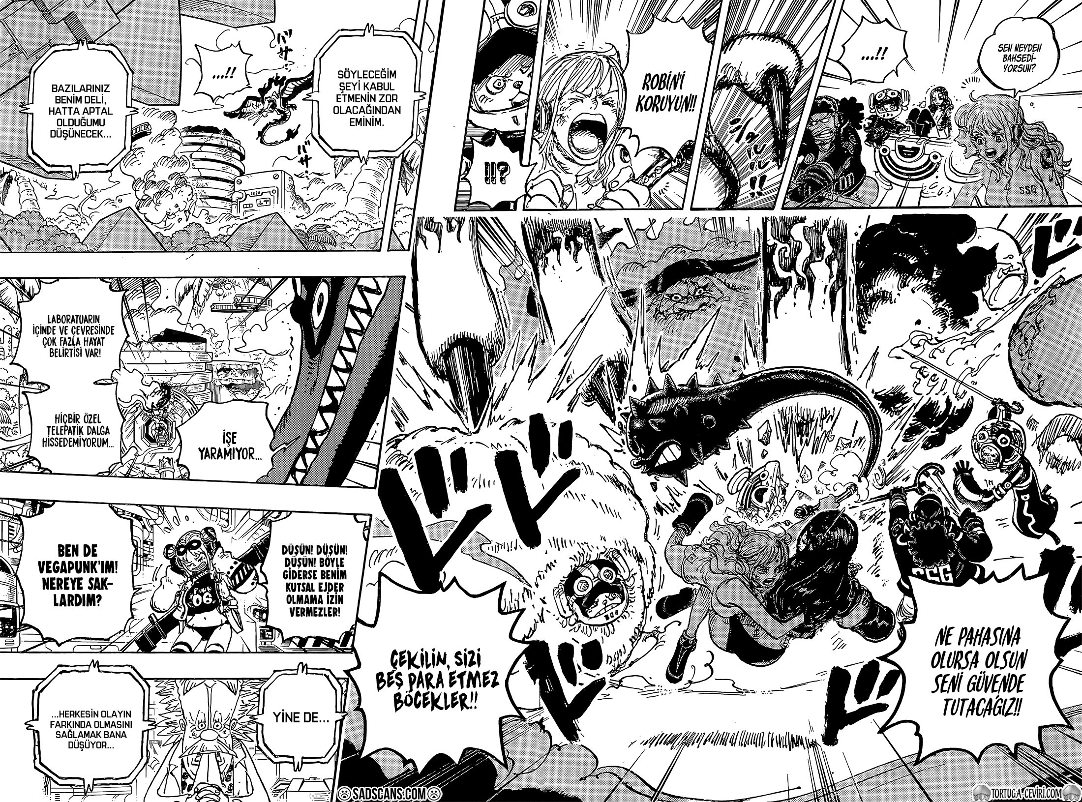 Read One Piece TR Manga Online