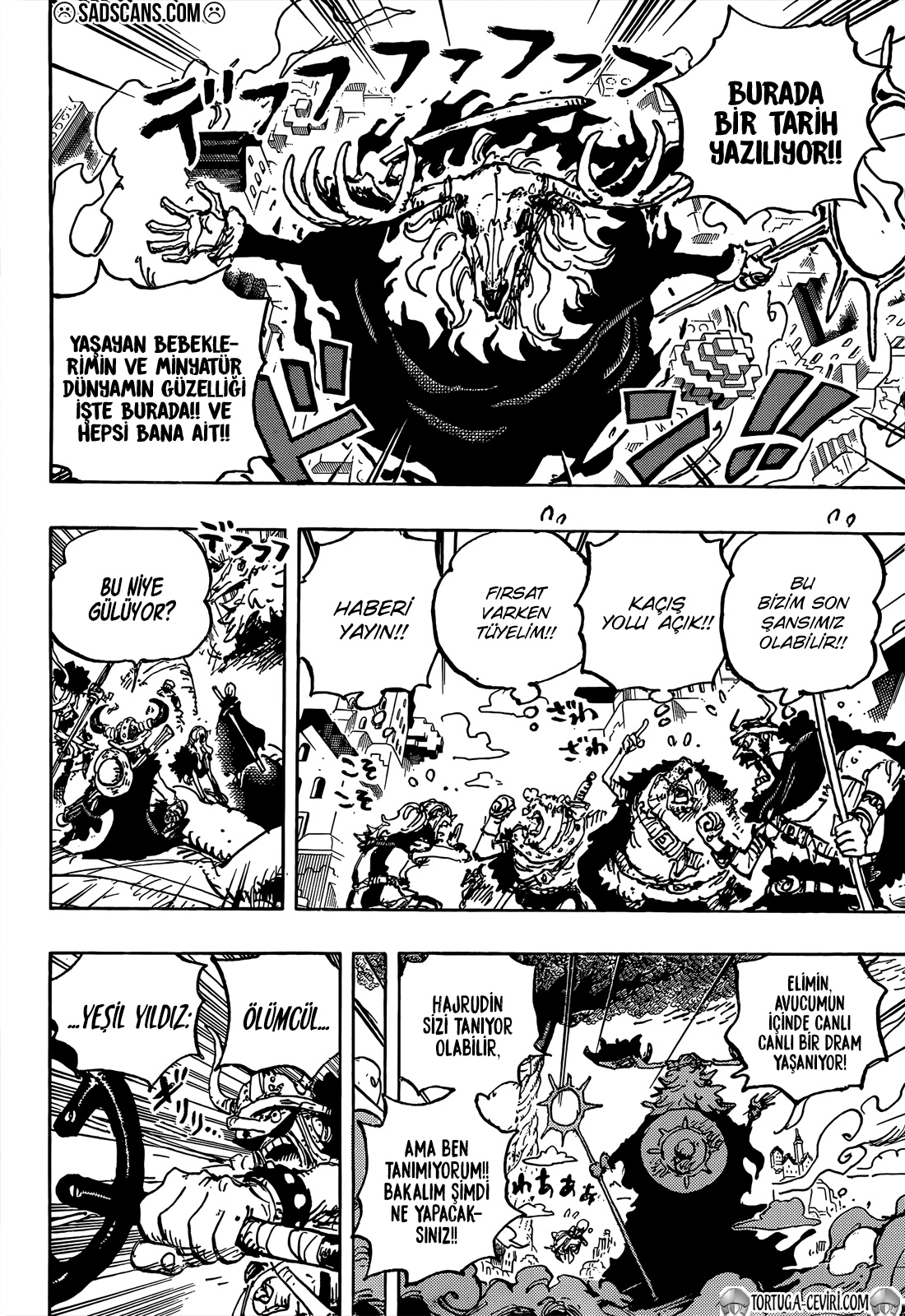 Read One Piece TR Manga Online