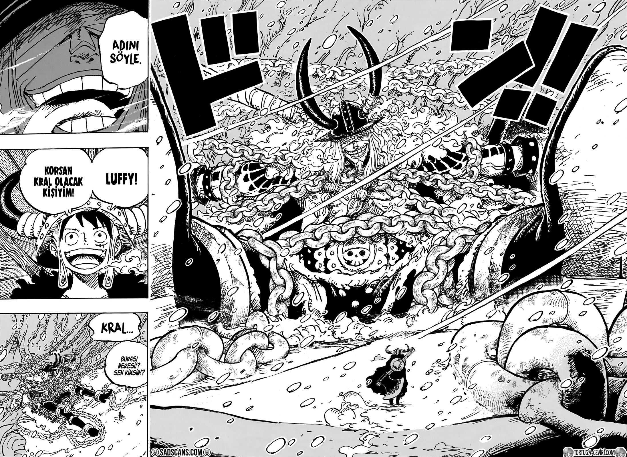 Read One Piece TR Manga Online