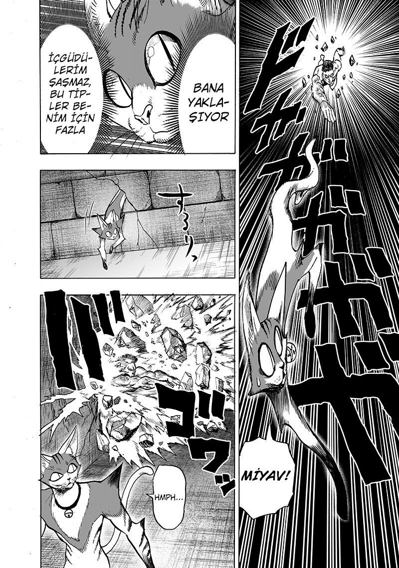 Read One Punch-Man TR Manga Online