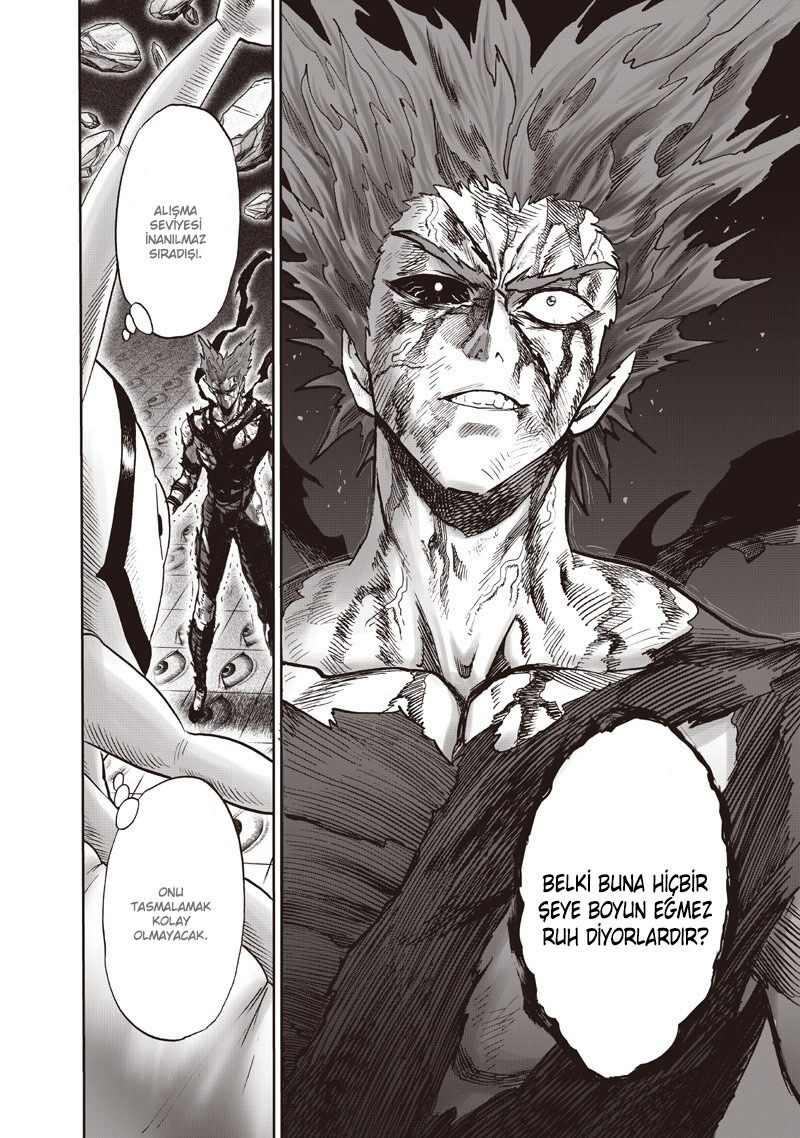 Read One Punch-Man TR Manga Online