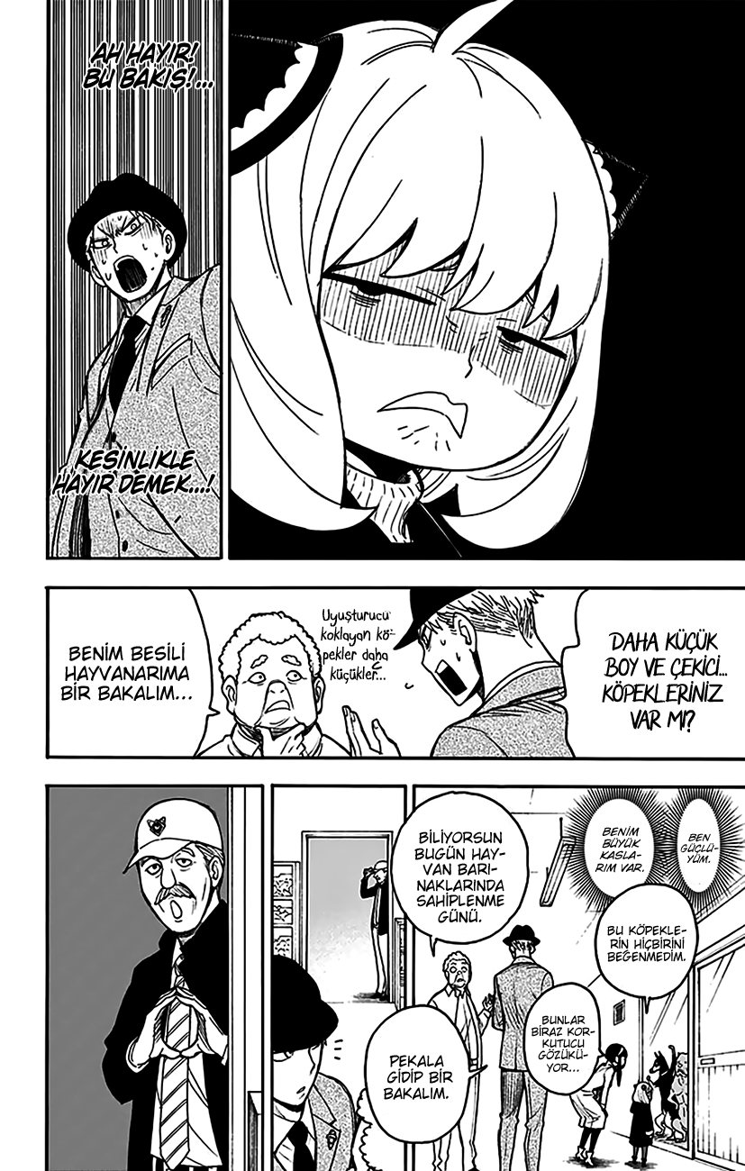 Read SPYxFAMILY TR Manga Online