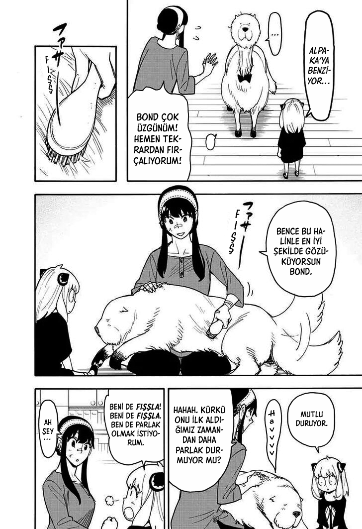 Read SPYxFAMILY TR Manga Online