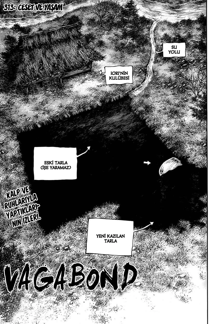 Read Vagabond TR Manga Online