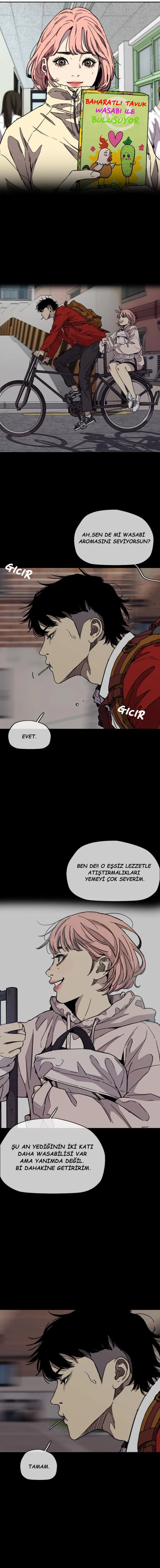 Read Wind Breaker TR Manga Online