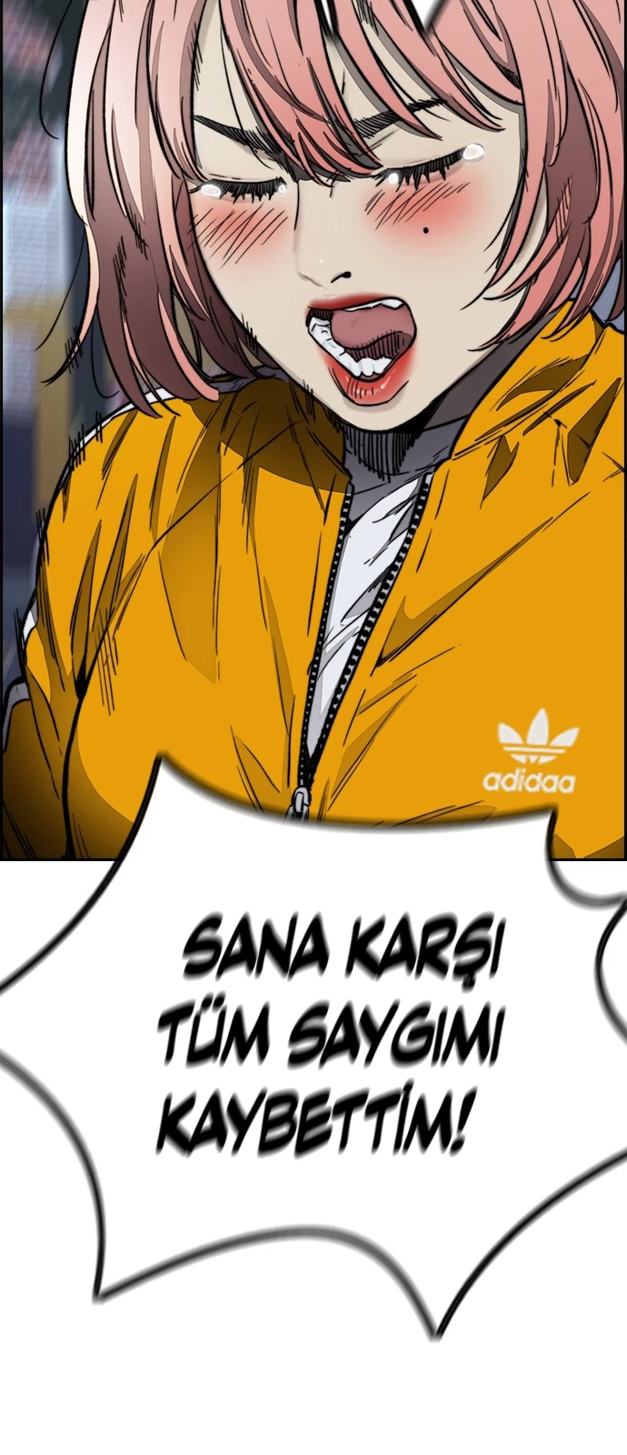 Read Wind Breaker TR Manga Online