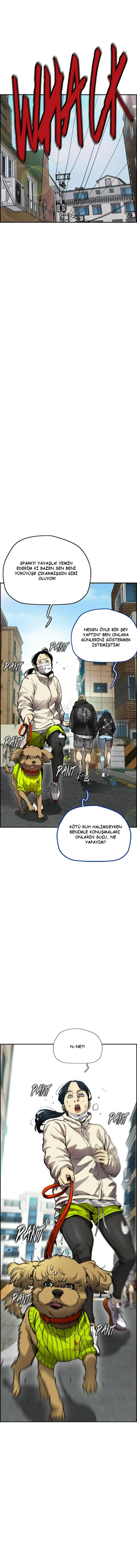 Read Wind Breaker TR Manga Online