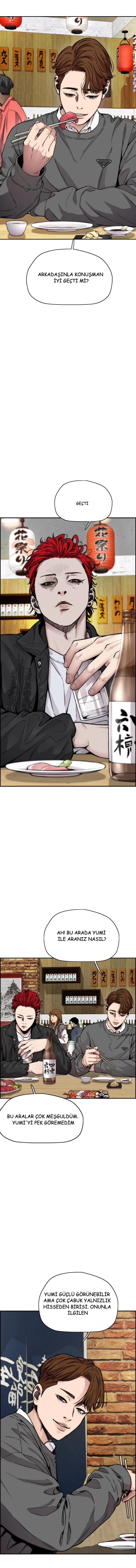 Read Wind Breaker TR Manga Online