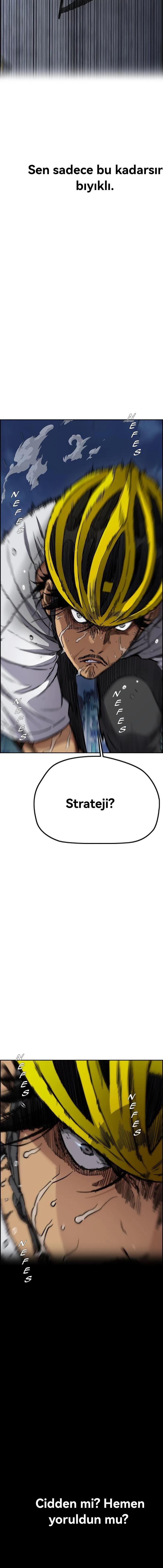 Read Wind Breaker TR Manga Online