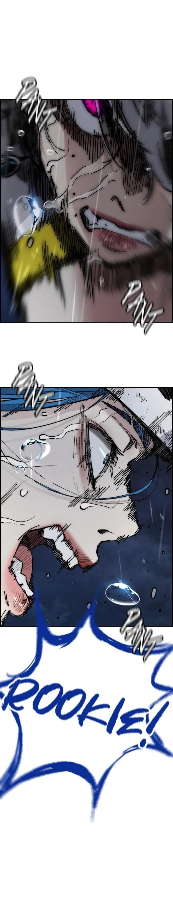 Read Wind Breaker TR Manga Online