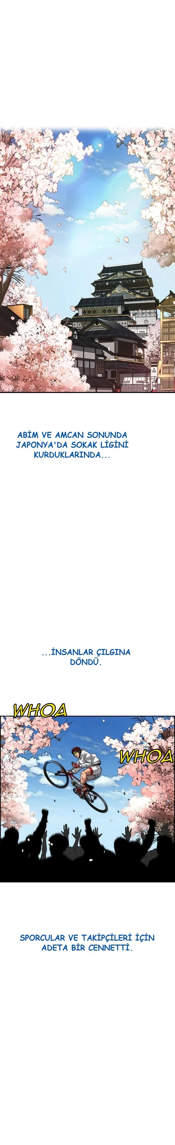 Read Wind Breaker TR Manga Online